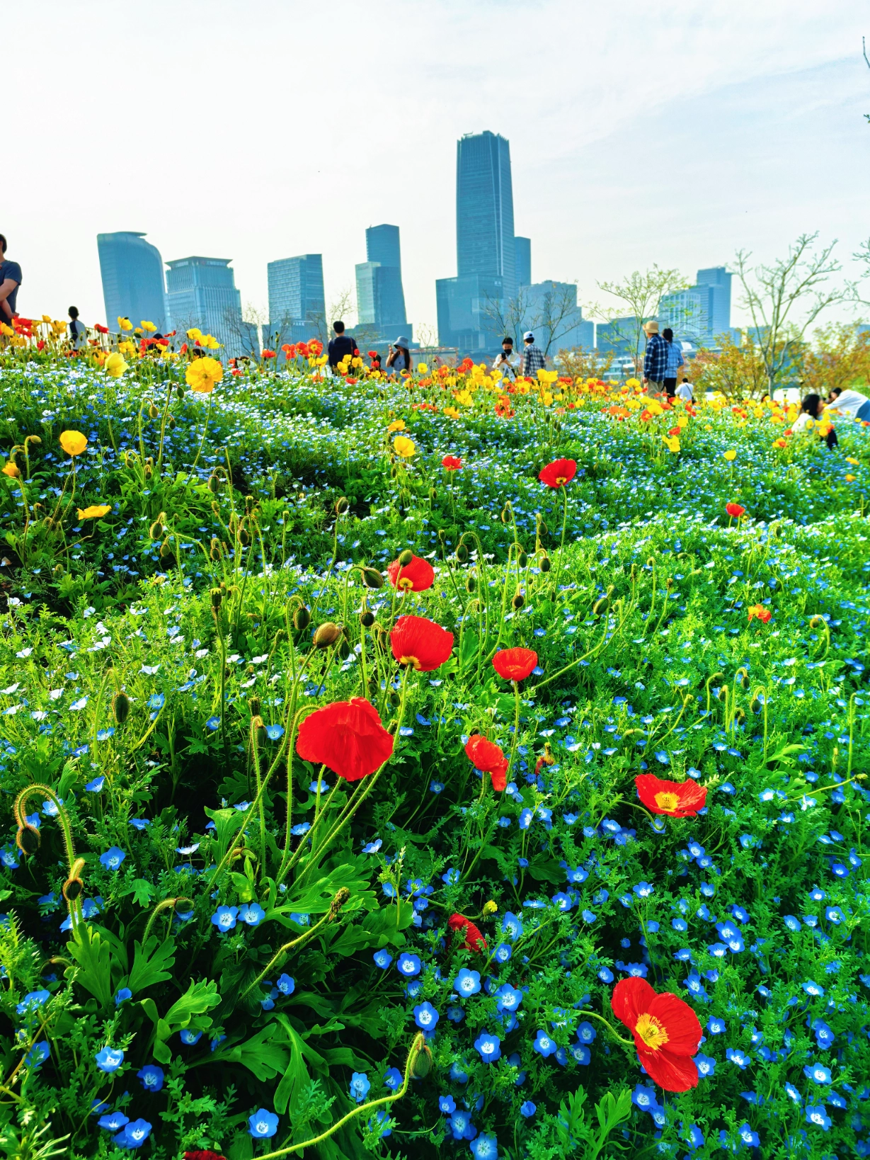 image_1775395622365.webp